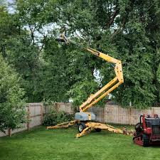 Best Hazardous Tree Removal  in Poteau, OK