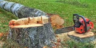 Best Firewood Processing and Delivery  in Poteau, OK