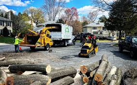 Best Lawn Disease Treatment  in Poteau, OK