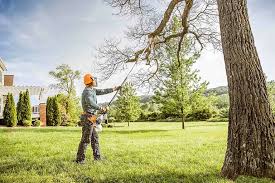 Best Lawn Drainage Solutions  in Poteau, OK