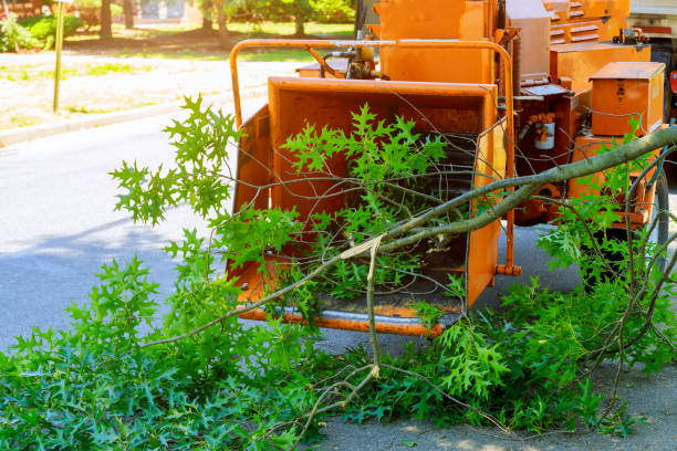 Best Lawn Mowing  in Poteau, OK