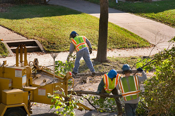Best Utility Line Clearance  in Poteau, OK