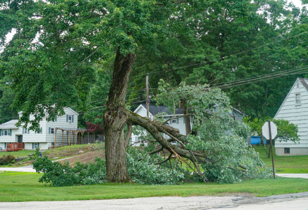 Poteau, OK Tree Services Company