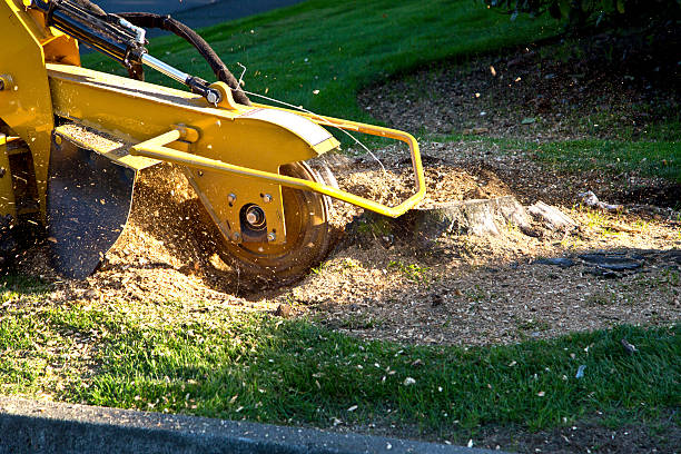 Best Aeration Services  in Poteau, OK