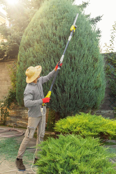 Best Lawn Watering Services  in Poteau, OK